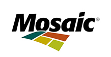 logotipo de mosaico